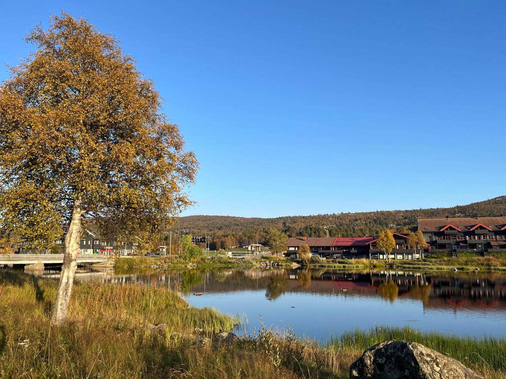 Sentral Leilighet Pa Geilo Exterior photo